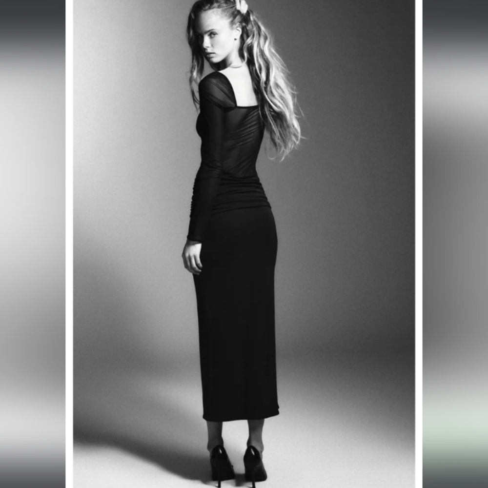 Zara Long Combination Sheer Dress - Picture 3 of 4